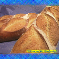 FRESH BAKED NYC Oven Baked Italian Bread 10 loaves