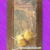 Sea Pearls sea sponge tampons 2 Reusable Sponges